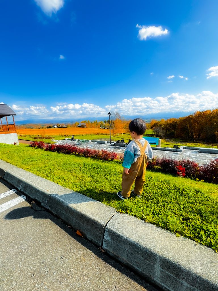 北海道の風景