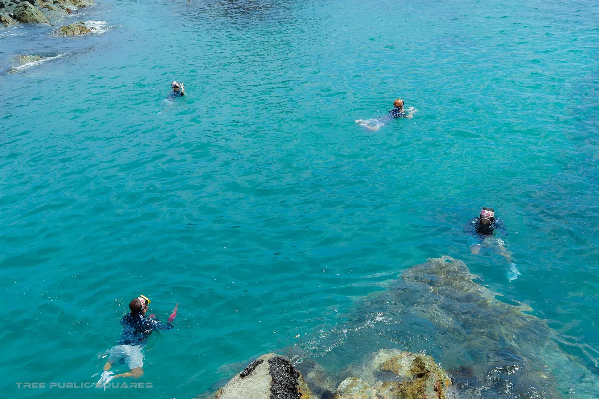Ama free-divers working the cold turquoise water off the Kosode coast, Iwate