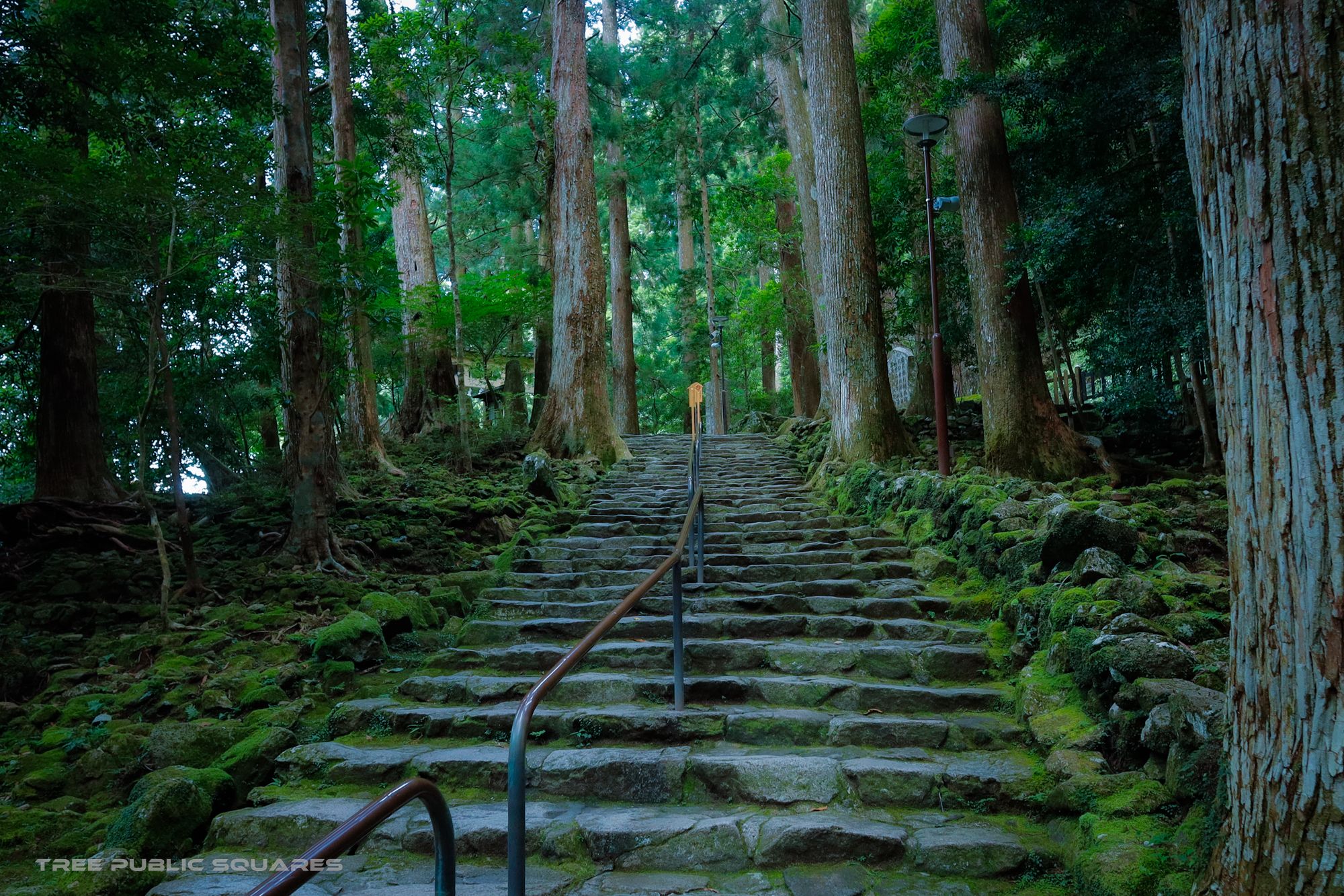 熊野三山3