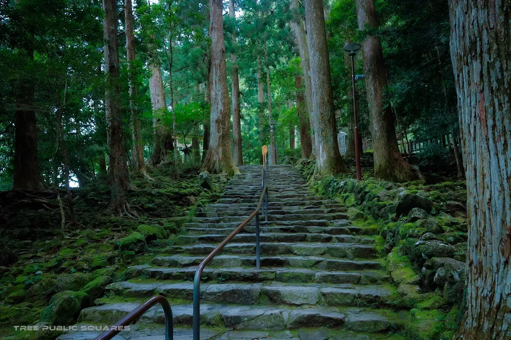 Moss-covered stone steps of the Kumano Kodō pilgrimage trail